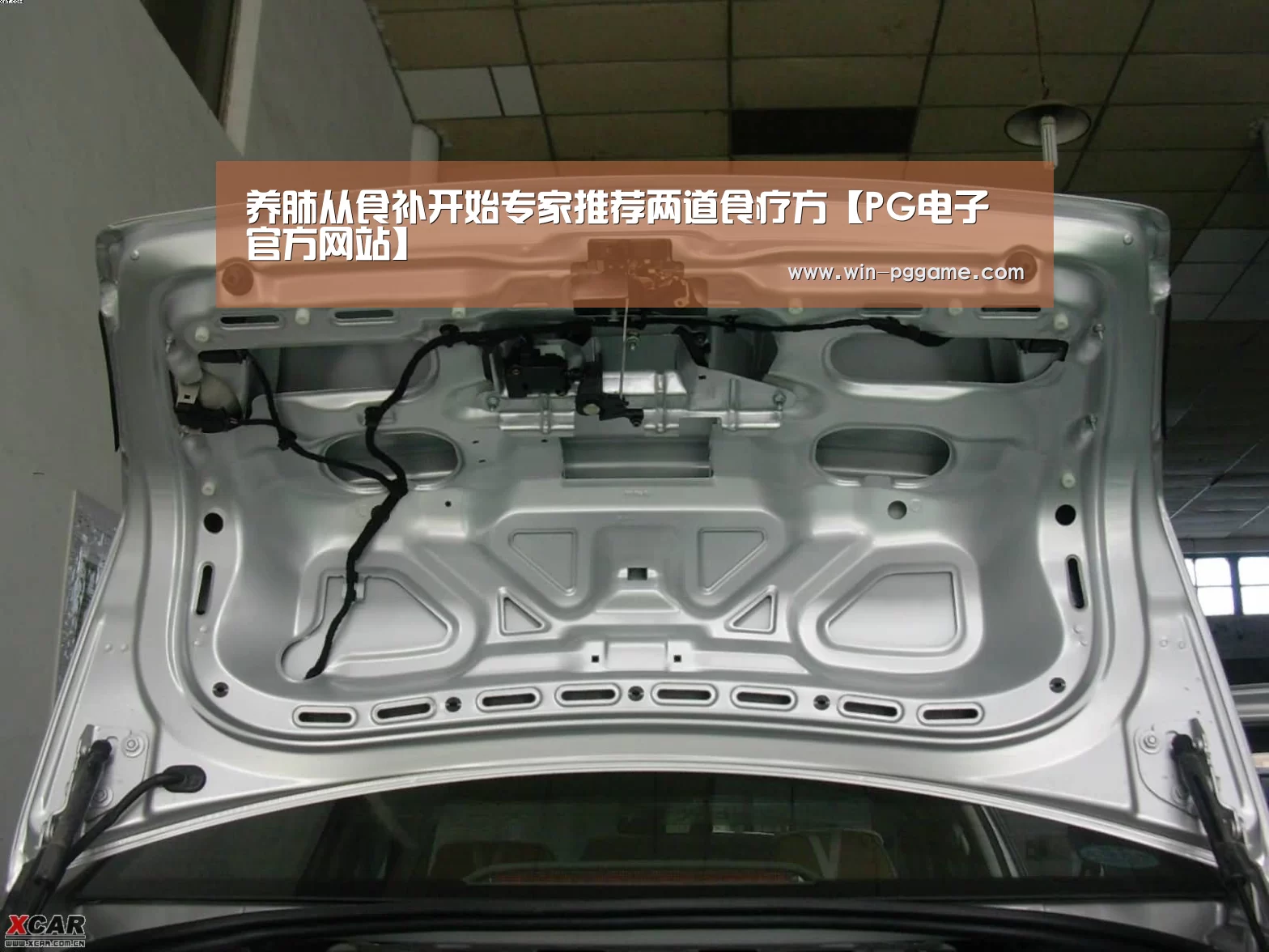 养肺从食补开始专家推荐两道食疗方【PG电子官方网站】(图1) PG电子官方网站