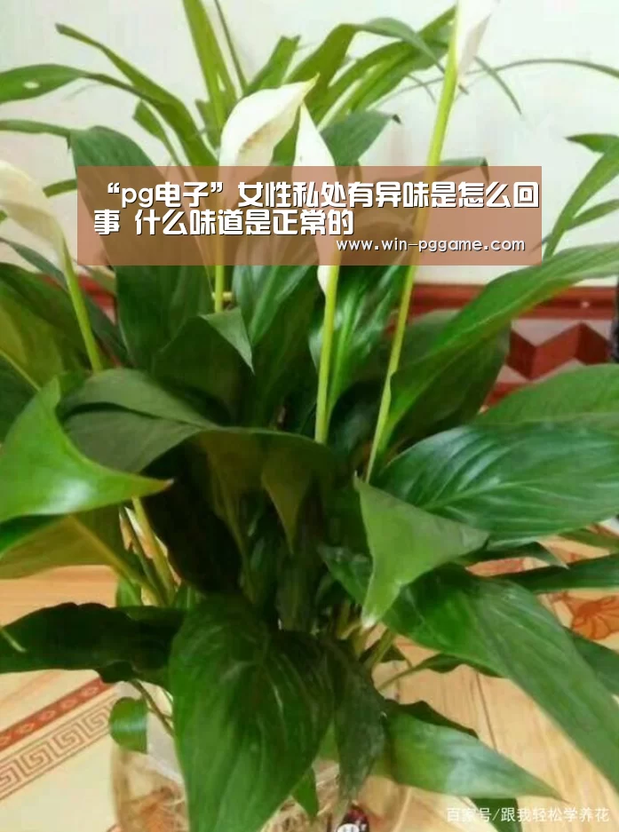 “pg电子”女性私处有异味是怎么回事 什么味道是正常的(图1) pg电子游戏